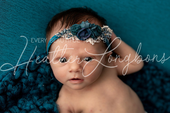 Albion Illinois Photographer Newborn Photography Baby's First Year Family Siblings studio portraits southern Illinois -31