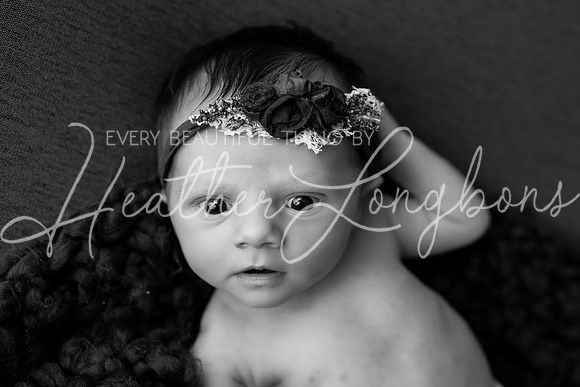 Albion Illinois Photographer Newborn Photography Baby's First Year Family Siblings studio portraits southern Illinois -32
