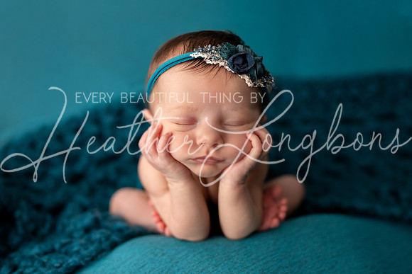 Albion Illinois Photographer Newborn Photography Baby's First Year Family Siblings studio portraits southern Illinois -33