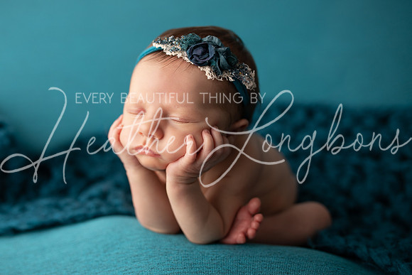 Albion Illinois Photographer Newborn Photography Baby's First Year Family Siblings studio portraits southern Illinois -34
