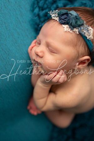 Albion Illinois Photographer Newborn Photography Baby's First Year Family Siblings studio portraits southern Illinois -35