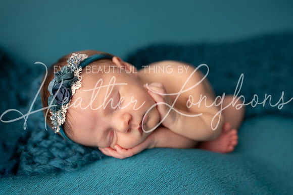 Albion Illinois Photographer Newborn Photography Baby's First Year Family Siblings studio portraits southern Illinois -36