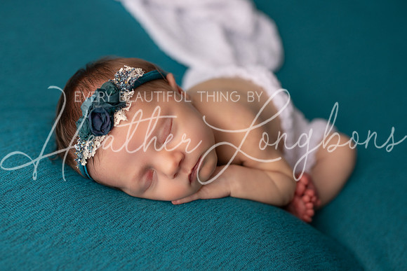 Albion Illinois Photographer Newborn Photography Baby's First Year Family Siblings studio portraits southern Illinois -37
