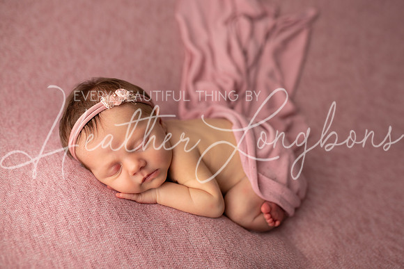 Albion Illinois Photographer Newborn Photography Baby's First Year Family Siblings studio portraits southern Illinois -38