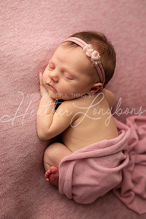 Albion Illinois Photographer Newborn Photography Baby's First Year Family Siblings studio portraits southern Illinois -39