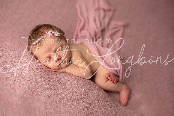 Albion Illinois Photographer Newborn Photography Baby's First Year Family Siblings studio portraits southern Illinois -40