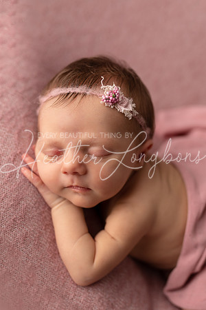 Albion Illinois Photographer Newborn Photography Baby's First Year Family Siblings studio portraits southern Illinois -41