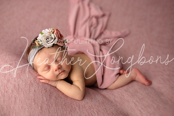 Albion Illinois Photographer Newborn Photography Baby's First Year Family Siblings studio portraits southern Illinois -42