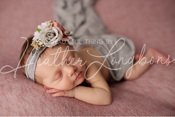 Albion Illinois Photographer Newborn Photography Baby's First Year Family Siblings studio portraits southern Illinois -43