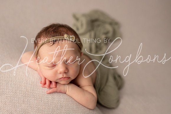 Albion Illinois Photographer Newborn Photography Baby's First Year Family Siblings studio portraits southern Illinois -44