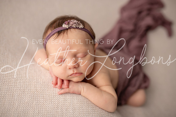 Albion Illinois Photographer Newborn Photography Baby's First Year Family Siblings studio portraits southern Illinois -46