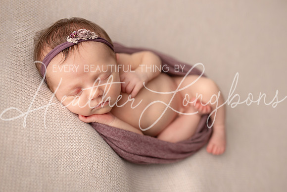 Albion Illinois Photographer Newborn Photography Baby's First Year Family Siblings studio portraits southern Illinois -47