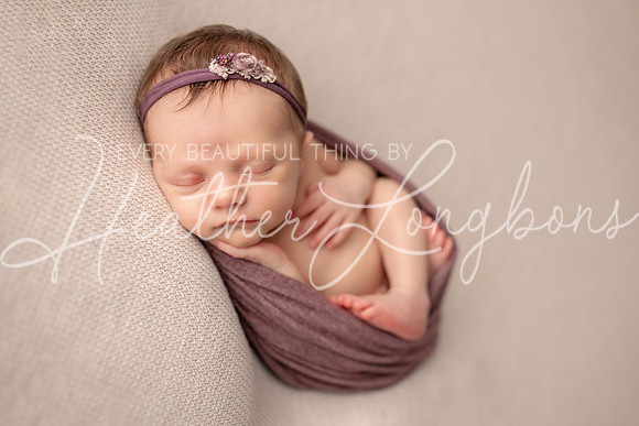 Albion Illinois Photographer Newborn Photography Baby's First Year Family Siblings studio portraits southern Illinois -48