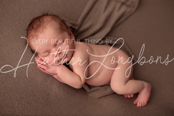 Albion Illinois Photographer Newborn Photography Baby's First Year Family Siblings studio portraits southern Illinois -49