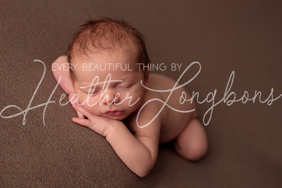 Albion Illinois Photographer Newborn Photography Baby's First Year Family Siblings studio portraits southern Illinois -52