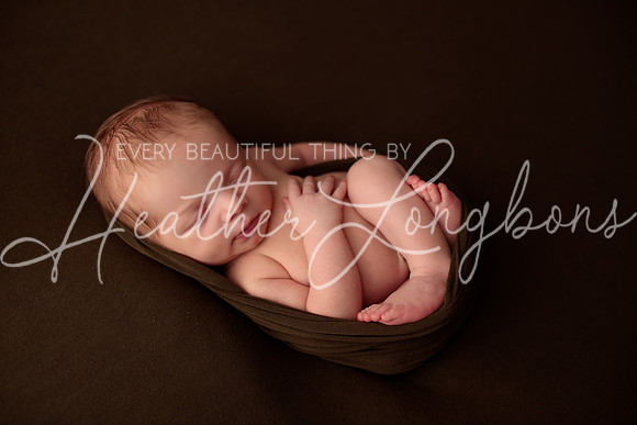 Albion Illinois Photographer Newborn Photography Baby's First Year Family Siblings studio portraits southern Illinois -55