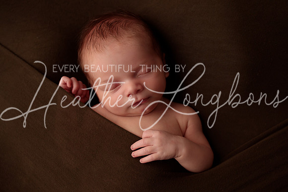 Albion Illinois Photographer Newborn Photography Baby's First Year Family Siblings studio portraits southern Illinois -58