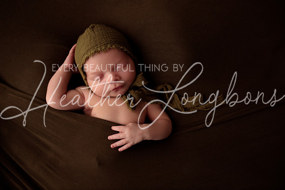 Albion Illinois Photographer Newborn Photography Baby's First Year Family Siblings studio portraits southern Illinois -60
