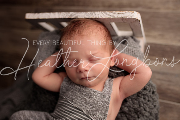Albion Illinois Photographer Newborn Photography Baby's First Year Family Siblings studio portraits southern Illinois -64