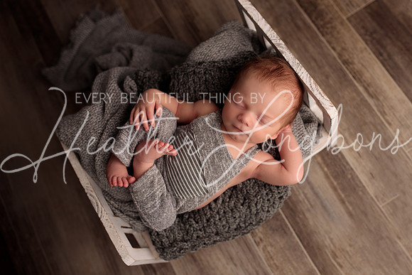 Albion Illinois Photographer Newborn Photography Baby's First Year Family Siblings studio portraits southern Illinois -68