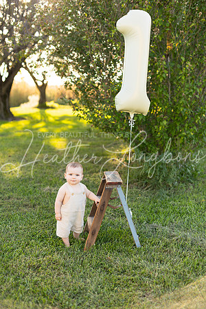 Brooks One Year-2