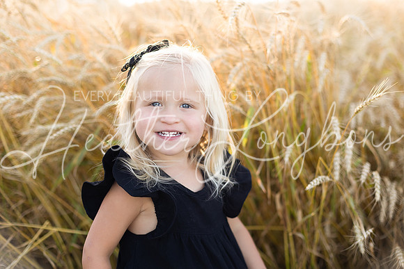 Wheat field Speirs-13