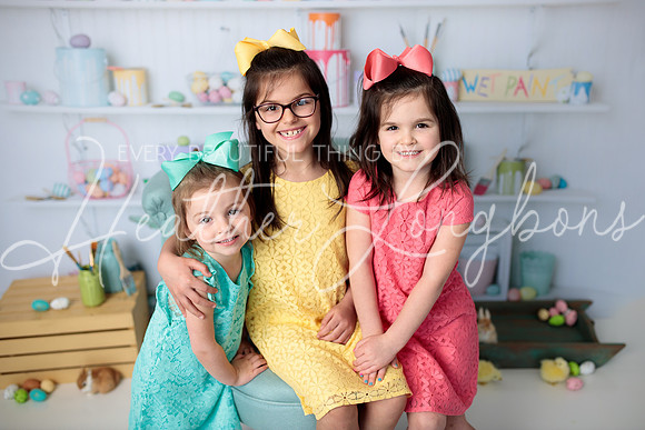 Spring Fewkes-4