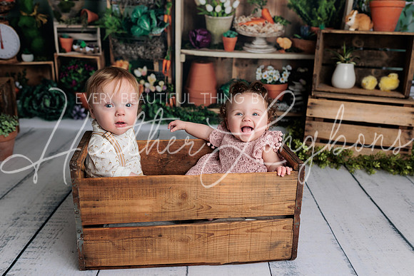 Taylor Twins Spring Minis-5