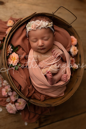 Winsley Loss Newborn-18