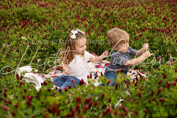 Clover Taylor family-20