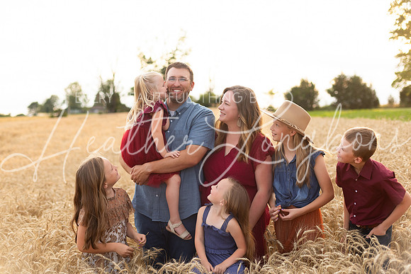 Wheat Field Bonds-70