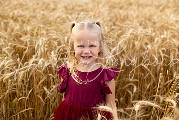 Wheat Field Bonds-24