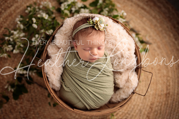 Madden Newborn-8