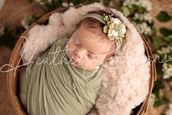 Madden Newborn-9