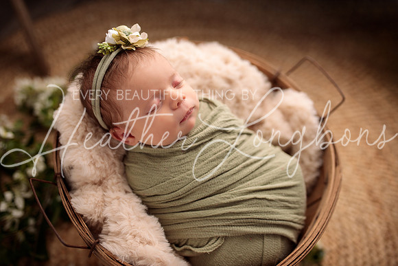 Madden Newborn-10