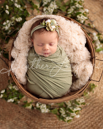 Madden Newborn-11