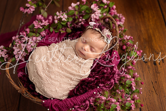 Madden Newborn-30