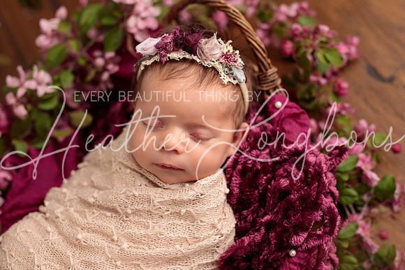 Madden Newborn-31