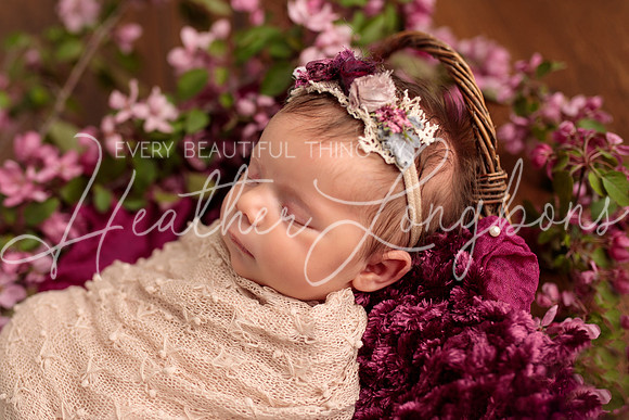 Madden Newborn-33