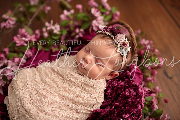 Madden Newborn-34