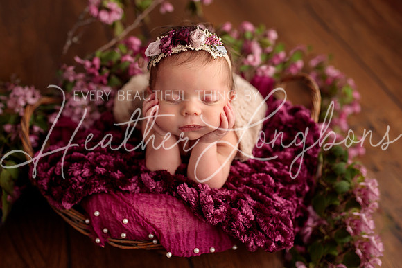 Madden Newborn-35
