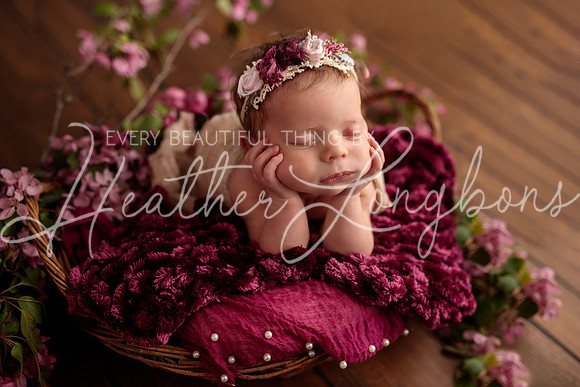 Madden Newborn-36