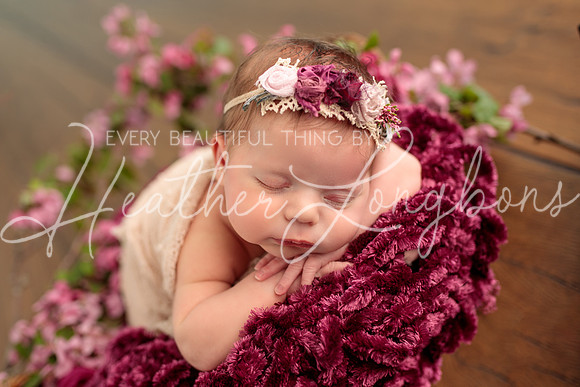 Madden Newborn-37