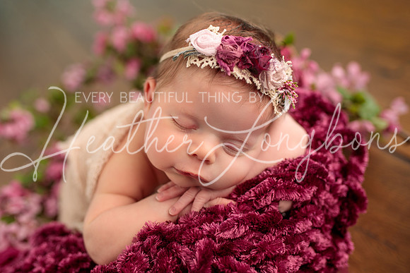 Madden Newborn-38