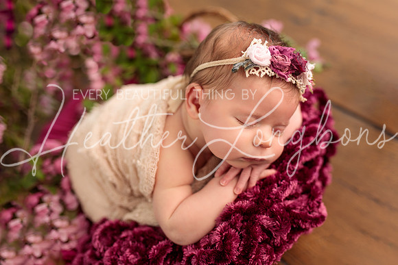 Madden Newborn-39