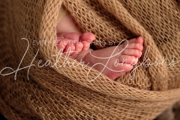 Madden Newborn-44