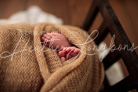 Madden Newborn-45