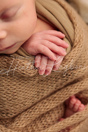 Madden Newborn-47