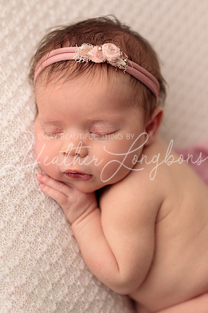 Madden Newborn-66