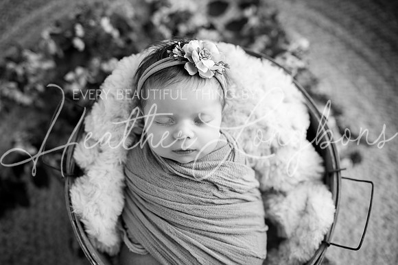 Madden Newborn-12BW